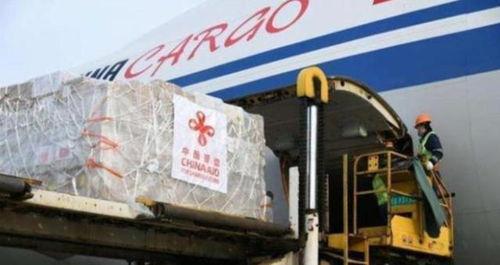 美国呼吸机爆料视频最新,美国呼吸机爆料视频揭露医疗危机真相