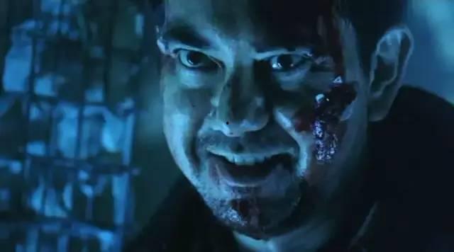 黄秋生刑警在线观看,探案风云再起，正义之光闪耀荧屏