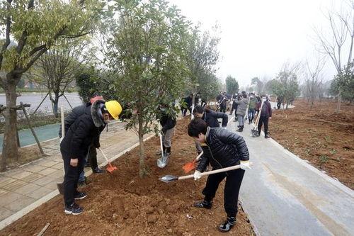 常绿干部爆料视频,揭秘权力背后的真相 第1张 常绿干部爆料视频,揭秘权力背后的真相 第1张